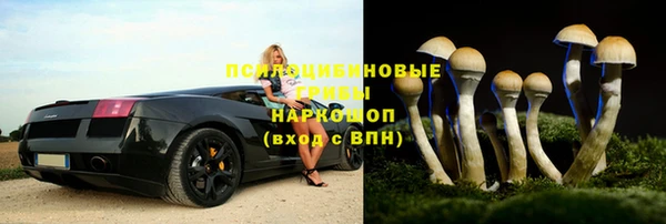 прущие крисы Богородск