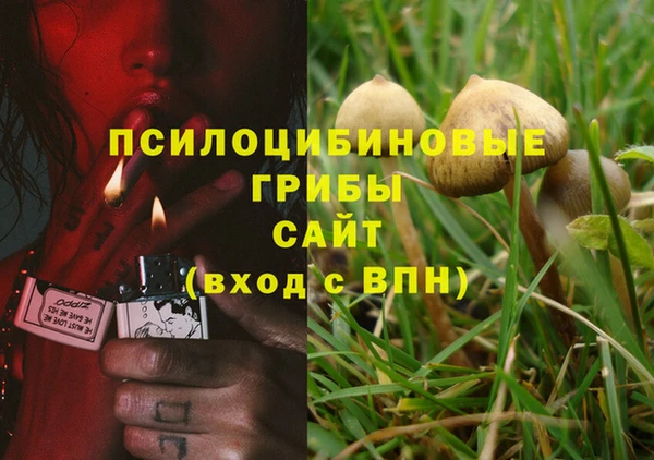 прущие крисы Богородск