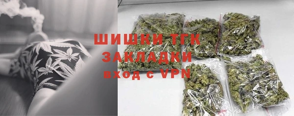 дживик Пестово
